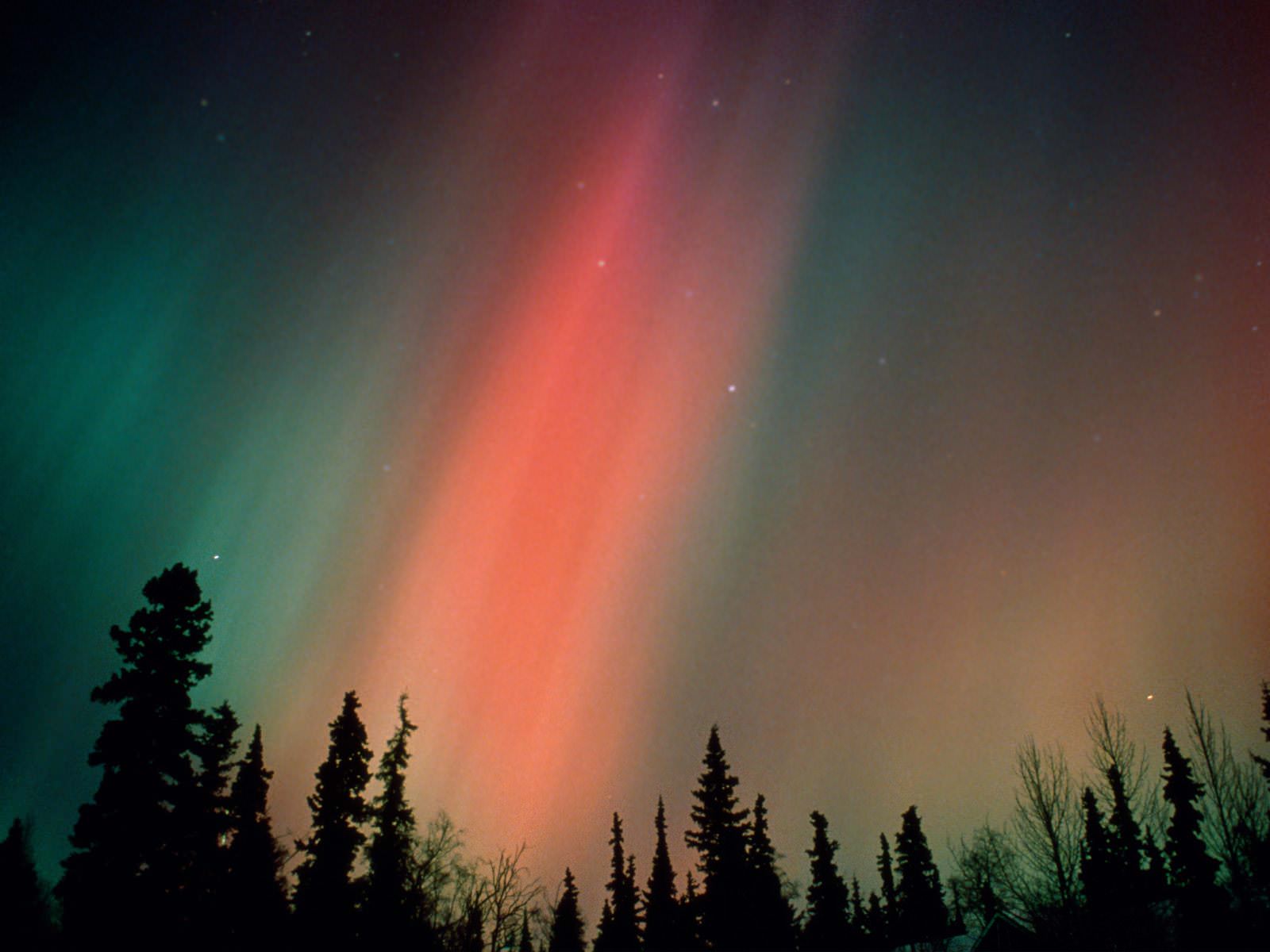aurora-borealis-northern-lights-alaska.